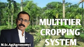 MULTITIER CROPPING SYSTEM