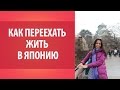 Как переехать в Японию и остаться жить в Японии. Всё о Японии. Япония.