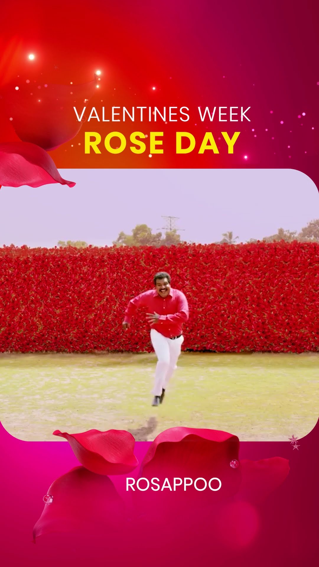റോസ്... #HappyRoseDay