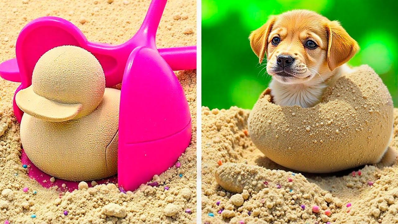 ADORABLE Pet Gadgets! 🐾 Fun DIY Crafts for Cats & Dogs!