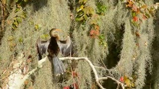 A Saturday At Circle B