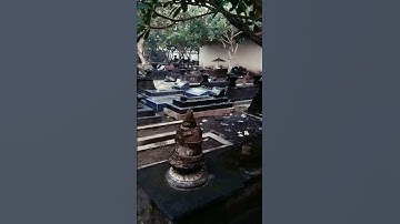 “This Ancient Cemetery Hides a Secret"