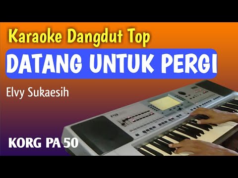 Datang Untuk Pergi - Karaoke Dangdut Tanpa Vokal - Elvy Sukaesih