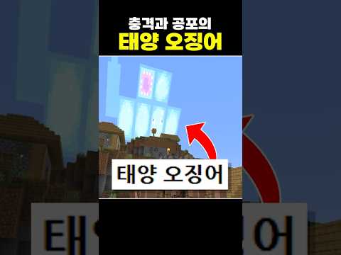 <strong>태양</strong> 오징어