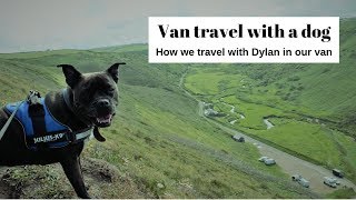 How we travel in a van with our dog screenshot 4