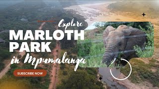 Explore Marloth Park, right next door to the majestic Kruger National Park