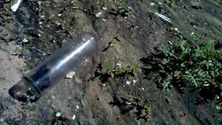 Mouse Trap Release