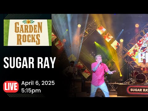 洋楽 Sugar D / Come Fi Rock De People Rare 洋楽 Sugar D / Come Fi Rock De People Rare 洋楽 Sugar D