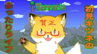 【Terraria】新年一発目はテラリアしながら雑談【ちゅうけんぽちこう】