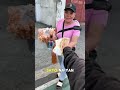Balot vendor No Problem #shorts #viral #money #problem