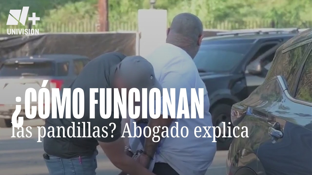 Abogado explica cómo funcionan las pandillas y el tráfico de drogas tras golpea a pandilla Calle 18