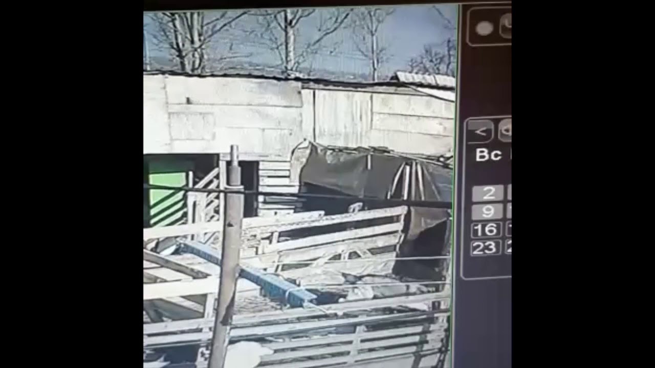 ������������