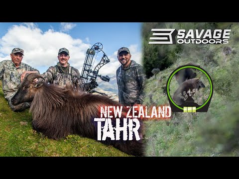 TAHR Hunting with a BOW in NEW ZALAND