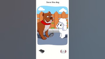 DOP 3 Level 261 Save the dog 🐕 #shorts
