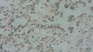 Watch Coral Ghosts Trailer
