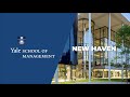 Yale school of managements mba programs 