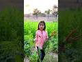 Mansi Sabji Lekar Aaoo 😲 Farmers family #shorts #viral #family #vegetables