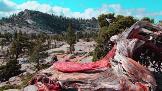 Yosemite National Park 2014 HD
