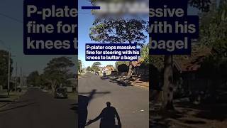 P-plater cops massive fine for steering with his knees to butter a bagel #shorts