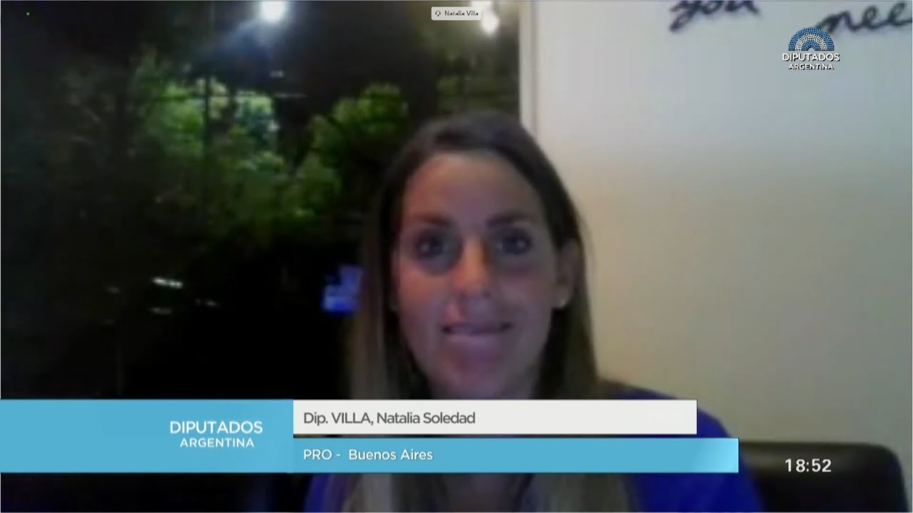 Diputada Villa, Natalia Soledad Capacitación "Ley Micaela" 06052020