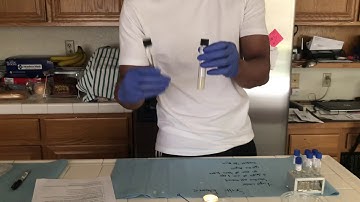 BIO225 Salt Tolerance Testing