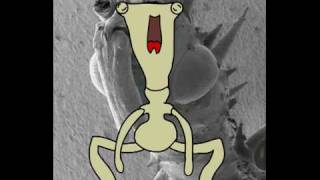 irlong talk, flash animation test
