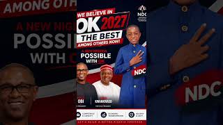 Simply say YES, if you agree. #politics #ndc #peterobi #peterobiforpresident