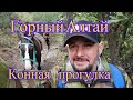 Горный Алтай База Иткая Конная прогулка 4К