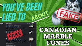 You've been lied to about "Canadian Marble Foxes"
