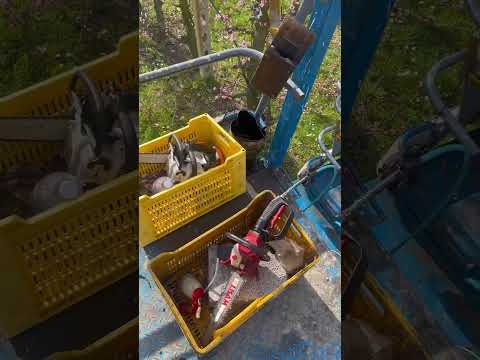 На чем собирают урожай итальянцы. Ч.1