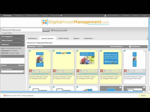 Digital Asset Management System Demo from DAMsystem.com