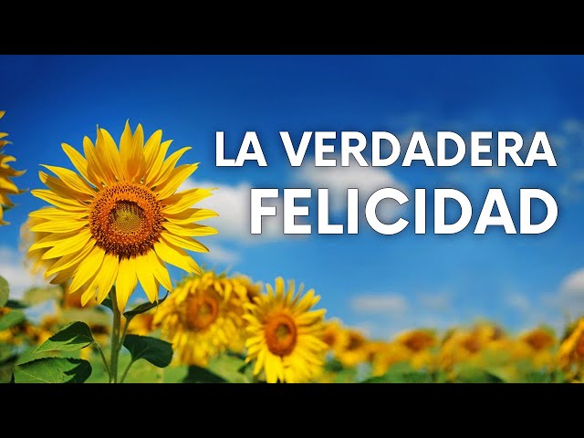 ¿Es posible estar solo y feliz? content media