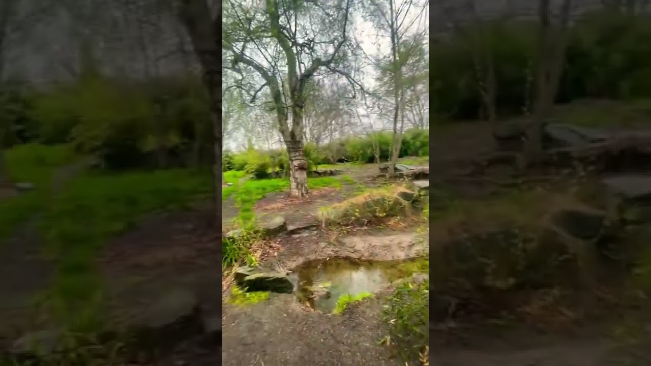 Me at the zoo/ Travel to Dublin/ 