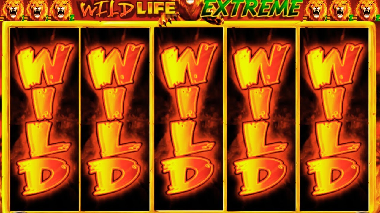 BIG WIN on Wild Life Extreme Slot! Epic Casino Hit!