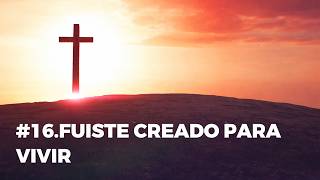 16 JUNIO 2026-POR SU GRACIA-Devocionales para Adultos