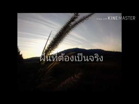 แคปชั่นท้อ New ฝันที่ต้องเป็นจริง #เหนื่อยแค่ไหนหัวใจไม่เคยท้อ