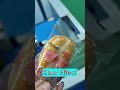 Continuous TTO for Food Package