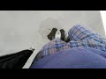 長靴遊び動画⑥「デカトロンの乗馬ブーツ編」で大型駐車場を歩いてきました。(撮影日2020/10/17)