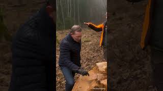 Wo kommt unser Holz her? | Ingo entdeckt | 06 | LIGNA.TV #shorts #wald #holz #wood