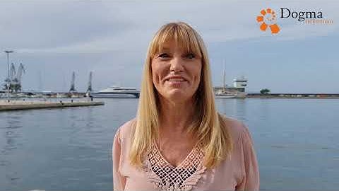 Tamara Abram, agent u prometu nekretninama - Dogma nekretnine