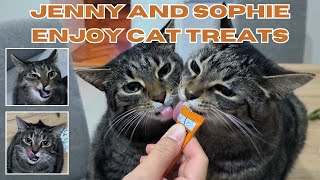 Jenny and Sophie enjoy cat treats  4K