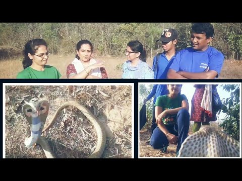 gurukulam film || YUWA FOUNDATION BENGALURU || ನಡೆಯಿರಿ ಹಾವುಗಳ ವಿಶ್ವದಲ್ಲಿ ||