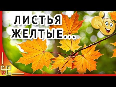 Листья Желтые Над Городом Кружатся. Музыка Ссср