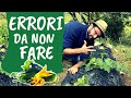 Coltivare zucchine 3 errori da non fare