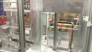 Case Packer by ETI by ETI Automation 1,781 views 3 years ago 56 seconds