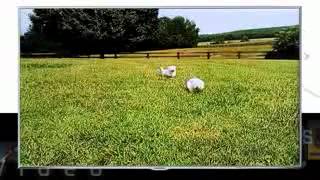 How to Use AllShare on Your Samsung Smart TV screenshot 1