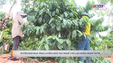 Huyện Đak Đoa tăng cường đào tạo nghề cho lao động