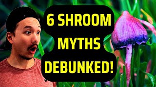 6 Myths of Magic Mushrooms - With Scientific Evidence!