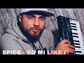 Spice - So Mi Like It !BALKAN REMIX! (prod. by SkennyBeatz) Mp3 Song