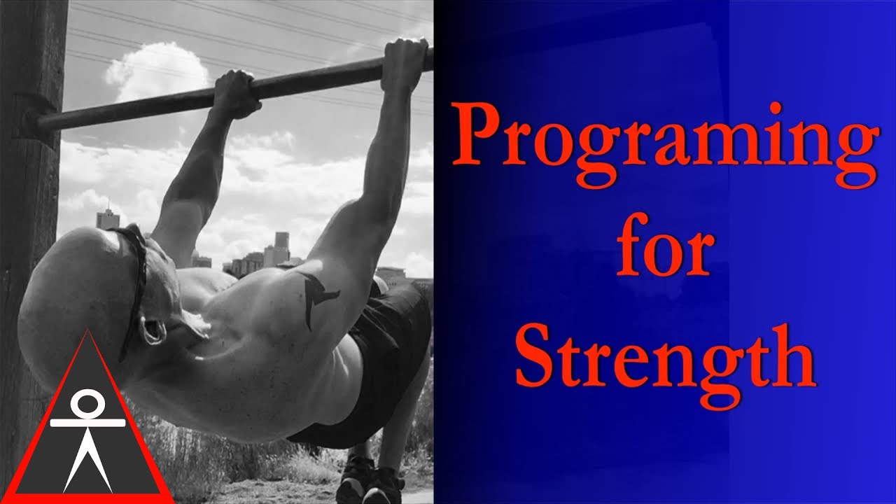 Calisthenics Programming For Strength